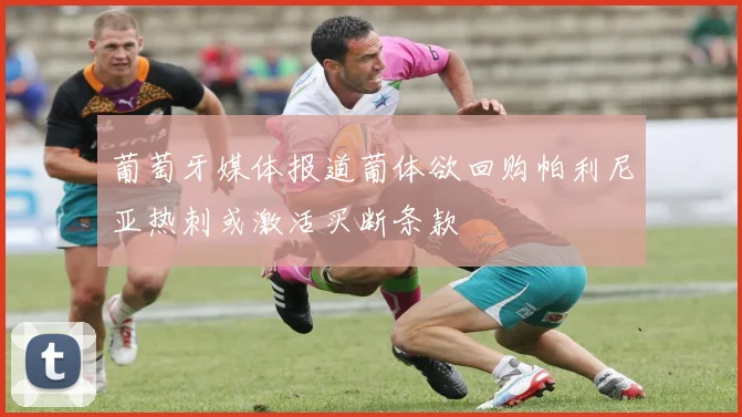 葡萄牙媒体报道葡体欲回购帕利尼亚热刺或激活买断条款