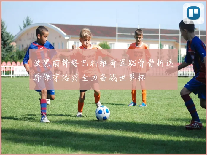 波黑前锋塔巴科维奇因跖骨骨折选择保守治疗全力备战世界杯