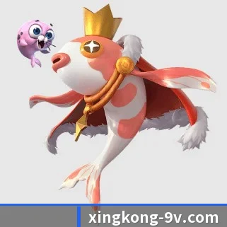 星空体育 APP